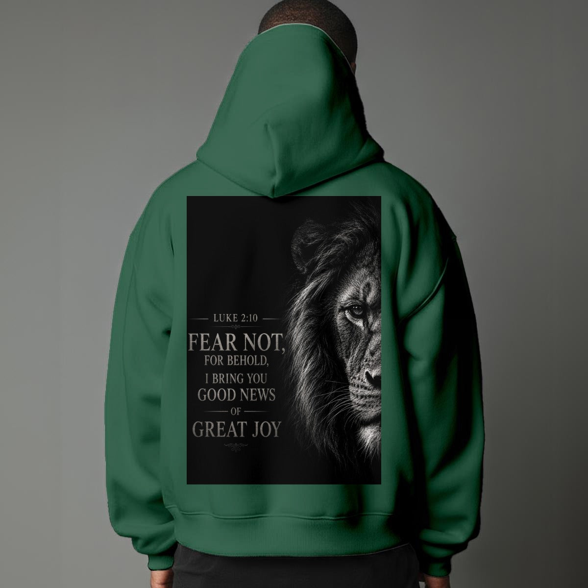 RexChristi-Fear Not Men`s Hoodie