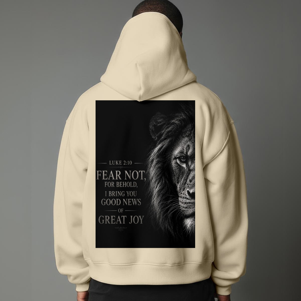 RexChristi-Fear Not Men`s Hoodie